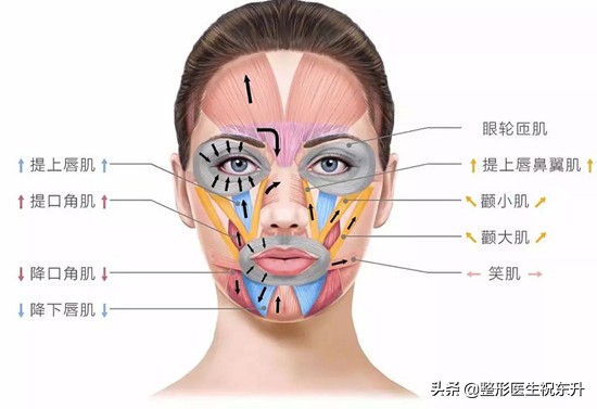 做了很多次医美法令纹还去不掉,法令纹的印子是不是去不掉了