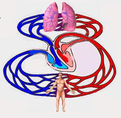 抽血大夫说我血稠,验血怎么感觉血的颜色黑呢