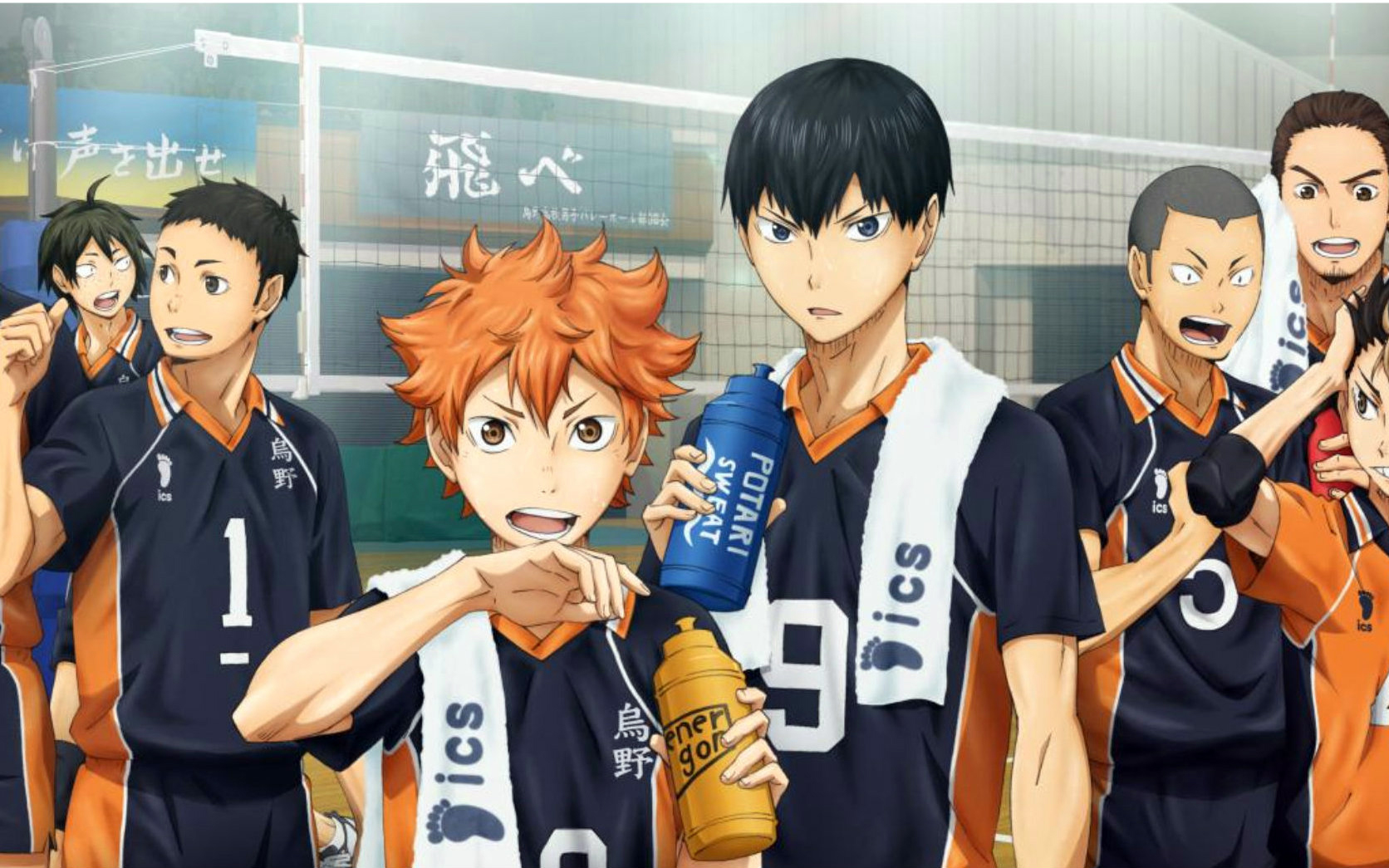 三大球类运动都是什么,三大球体育视频