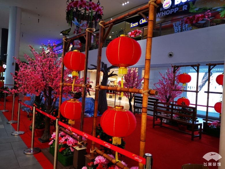 必须为亚航餐饮打call！椰浆鸡肉饭太惊艳了，真正的物美价廉