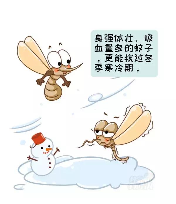 急！登革热已爆发641例，“秋蚊”战斗力爆表，尤其是这2种