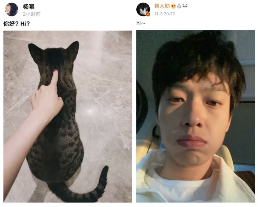 杨幂魏大勋现在的情侣装,杨幂魏大勋又偷偷秀恩爱了