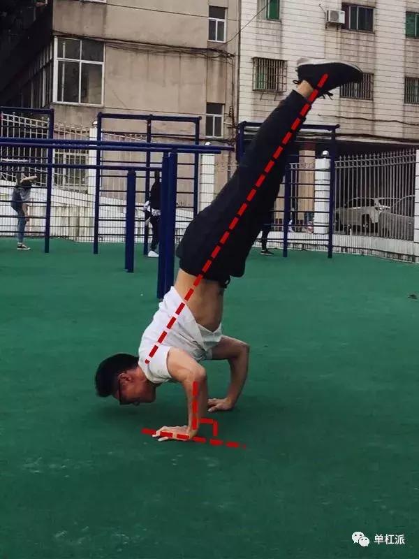 自由倒立撑训练方法,初学者如何掌握倒立撑