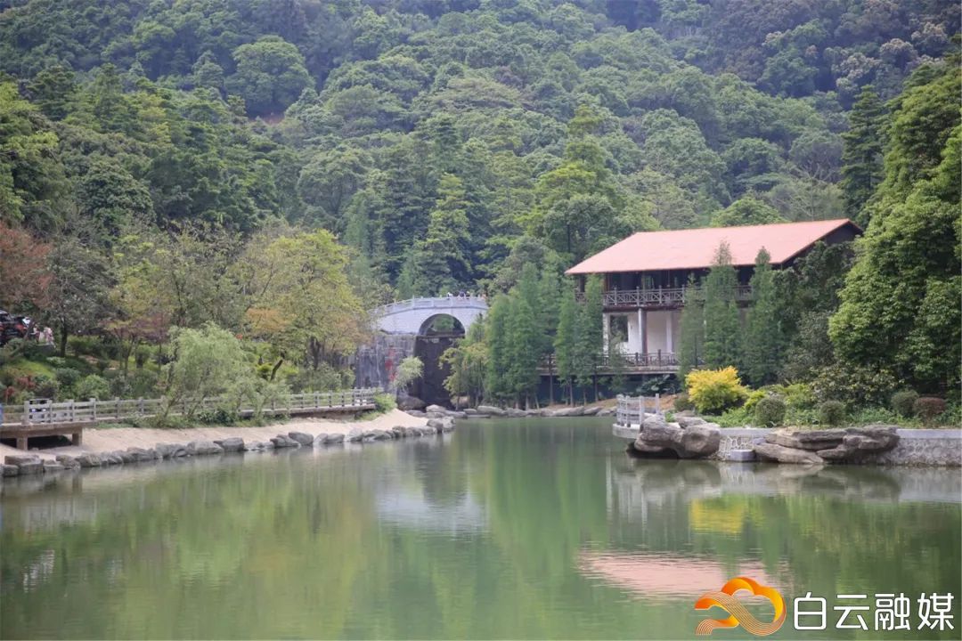 走，去太和！帽峰山下赏红叶、逛农庄、吃烧鸡、住民宿……