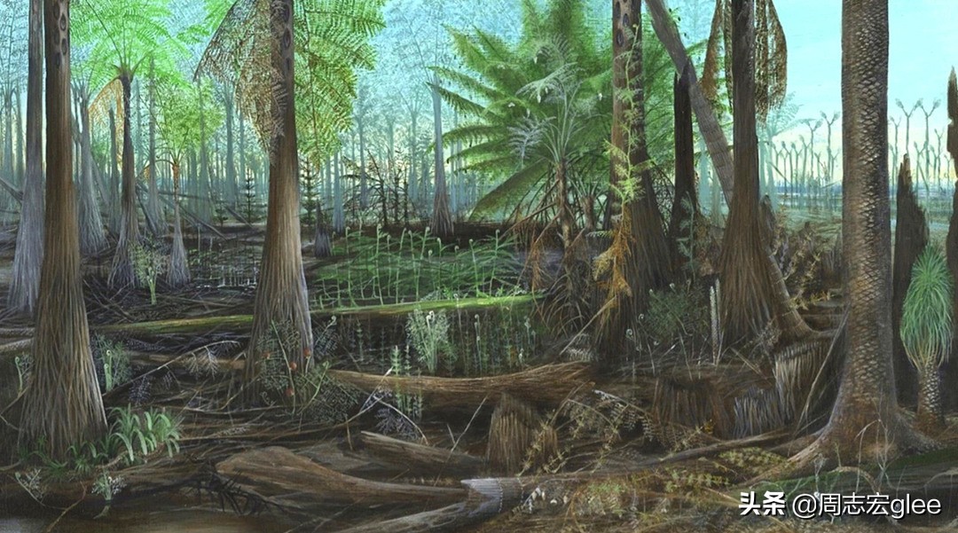 钻石和煤炭的故事寓意,煤炭和钻石有什么关系