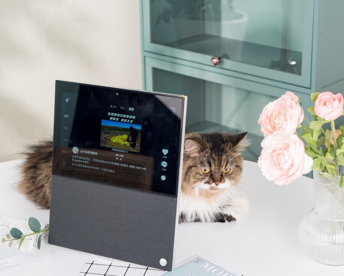 天猫精灵v10通话未接通,天猫精灵v10和小度智能屏