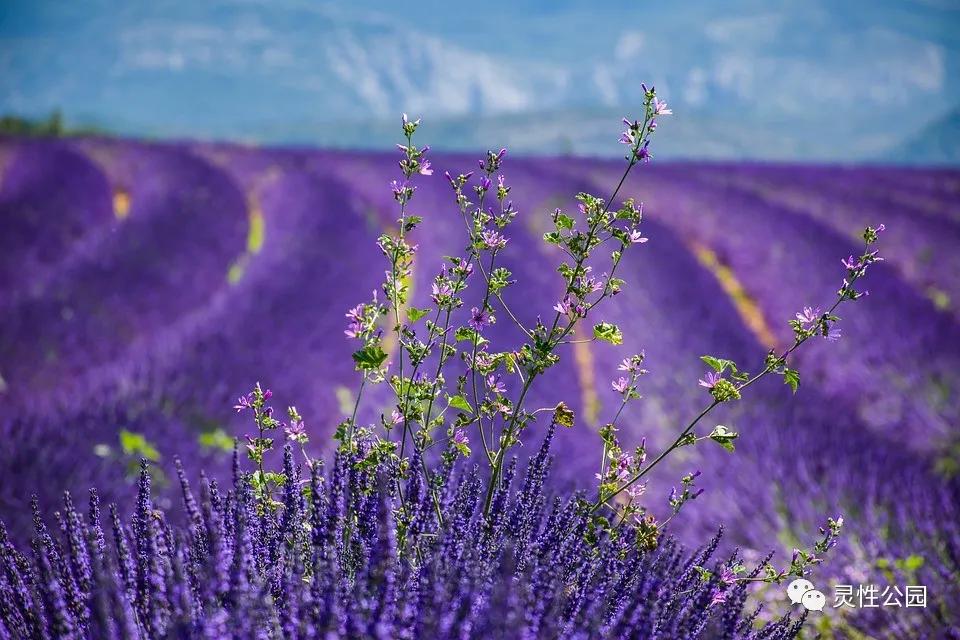 你值得过更好的生活第十二章,你值得过更好的生活全书重点