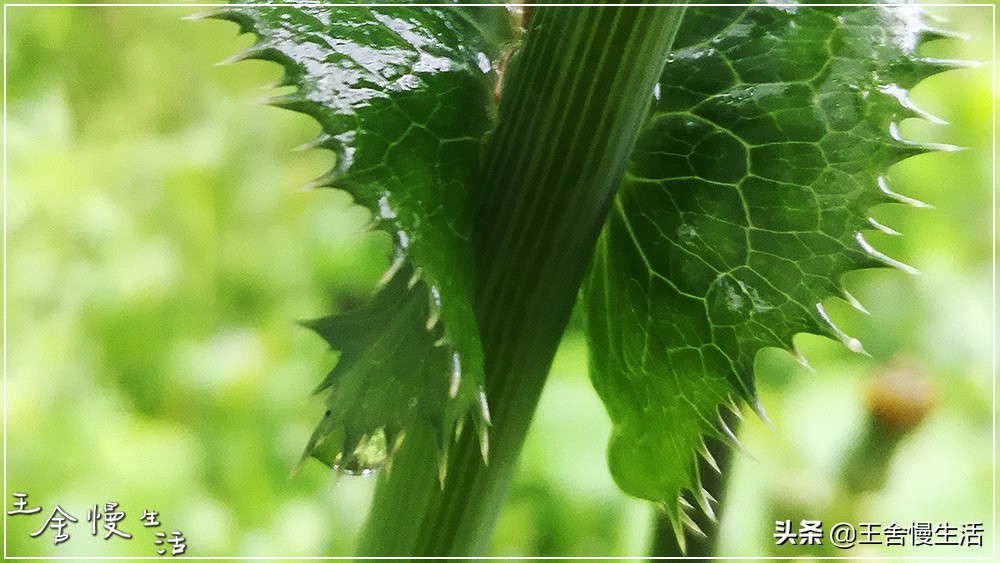 我可以抱抱你吗怎么说,我可以抱你吗的视频