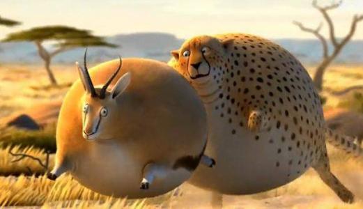 肾结石怎么治才能彻底根除,肾结石怎么根治最有效