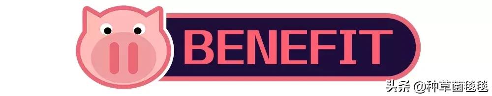 25块买啥,25块买什么东西