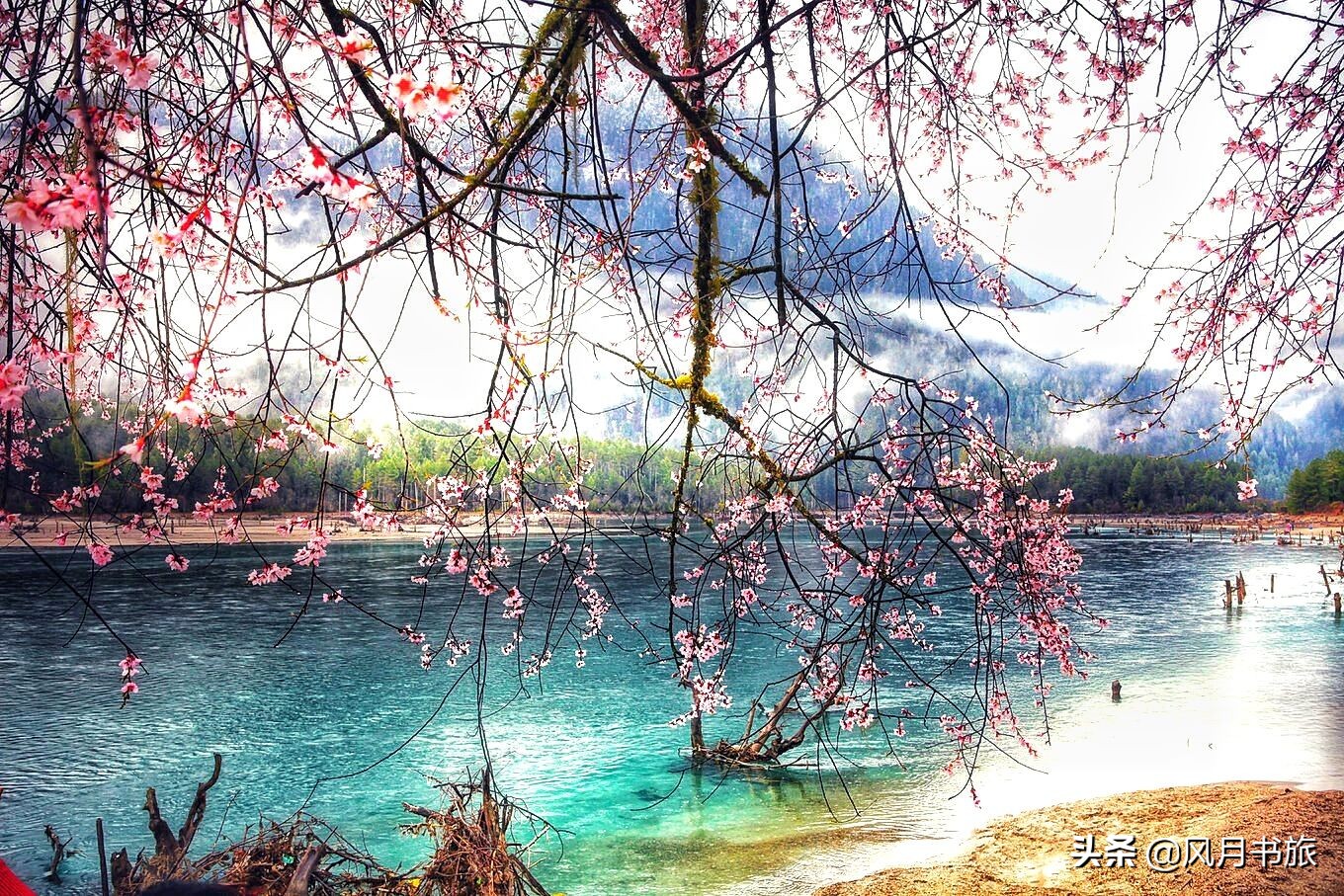 成都出发林芝旅游攻略图,金川梨花节自驾游五日线路图