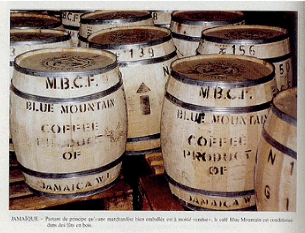 蓝山咖啡真的有减肥的效果吗,蓝山咖啡真的几百块一杯