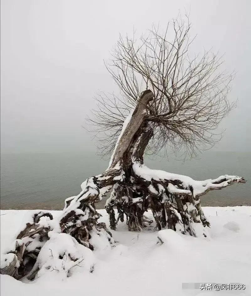 老济宁谚语,济宁老方言视频