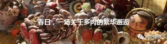 烟煤病多肉治愈后会复发吗,多肉烟煤病可以用虫虫净吗