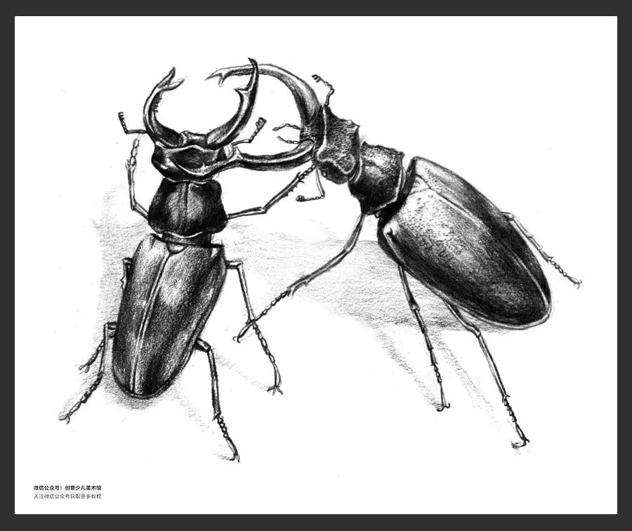 素描绘画素材9-12岁,素描基础绘画教程创意素描