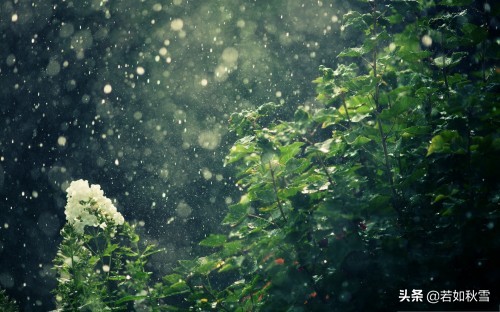 悲欣交集:弘一法师传,弘一法师的悲欣交集