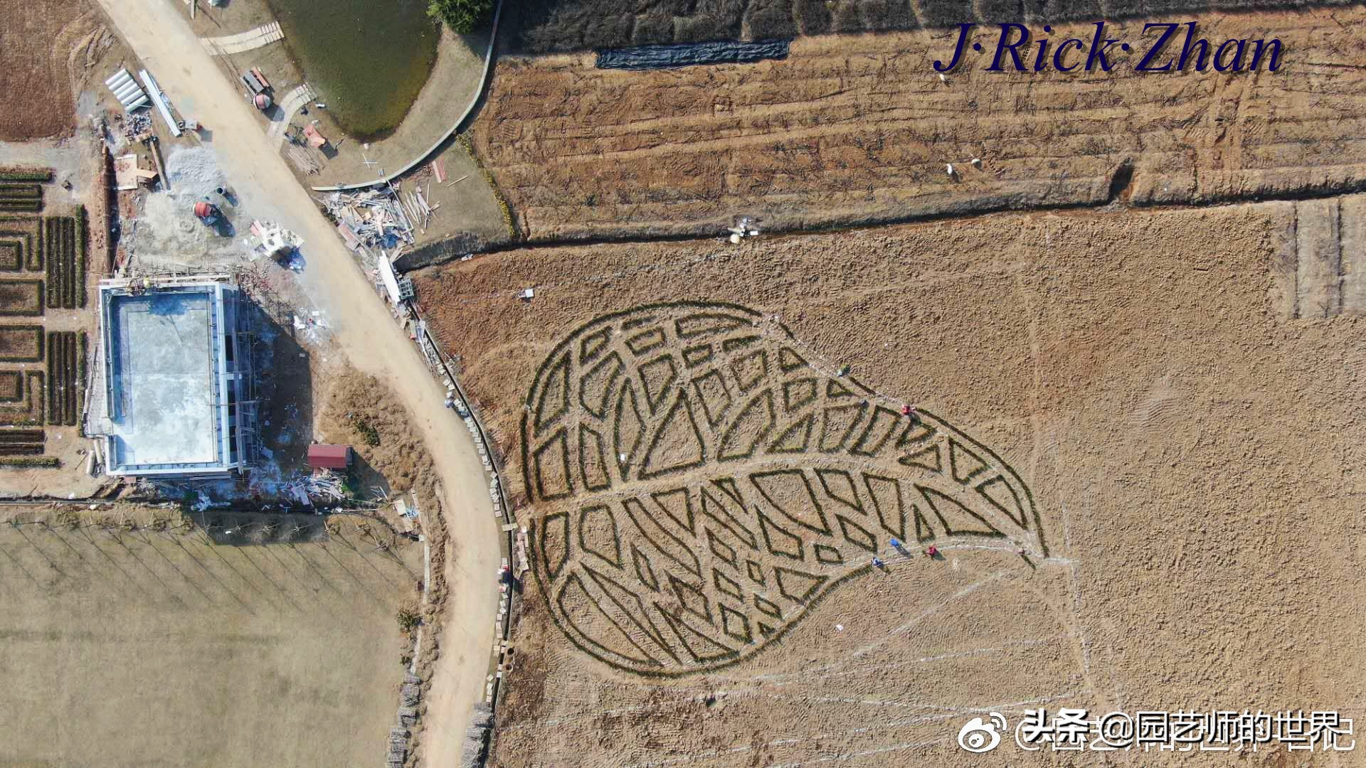 城市蔬菜园景观设计,蔬菜花园造型