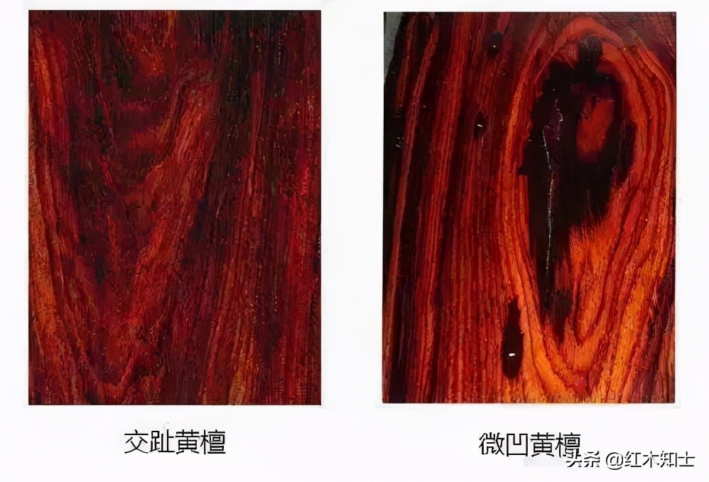 老挝大红酸枝交趾黄檀多少钱一吨,老挝大红酸枝交趾黄檀的优缺点