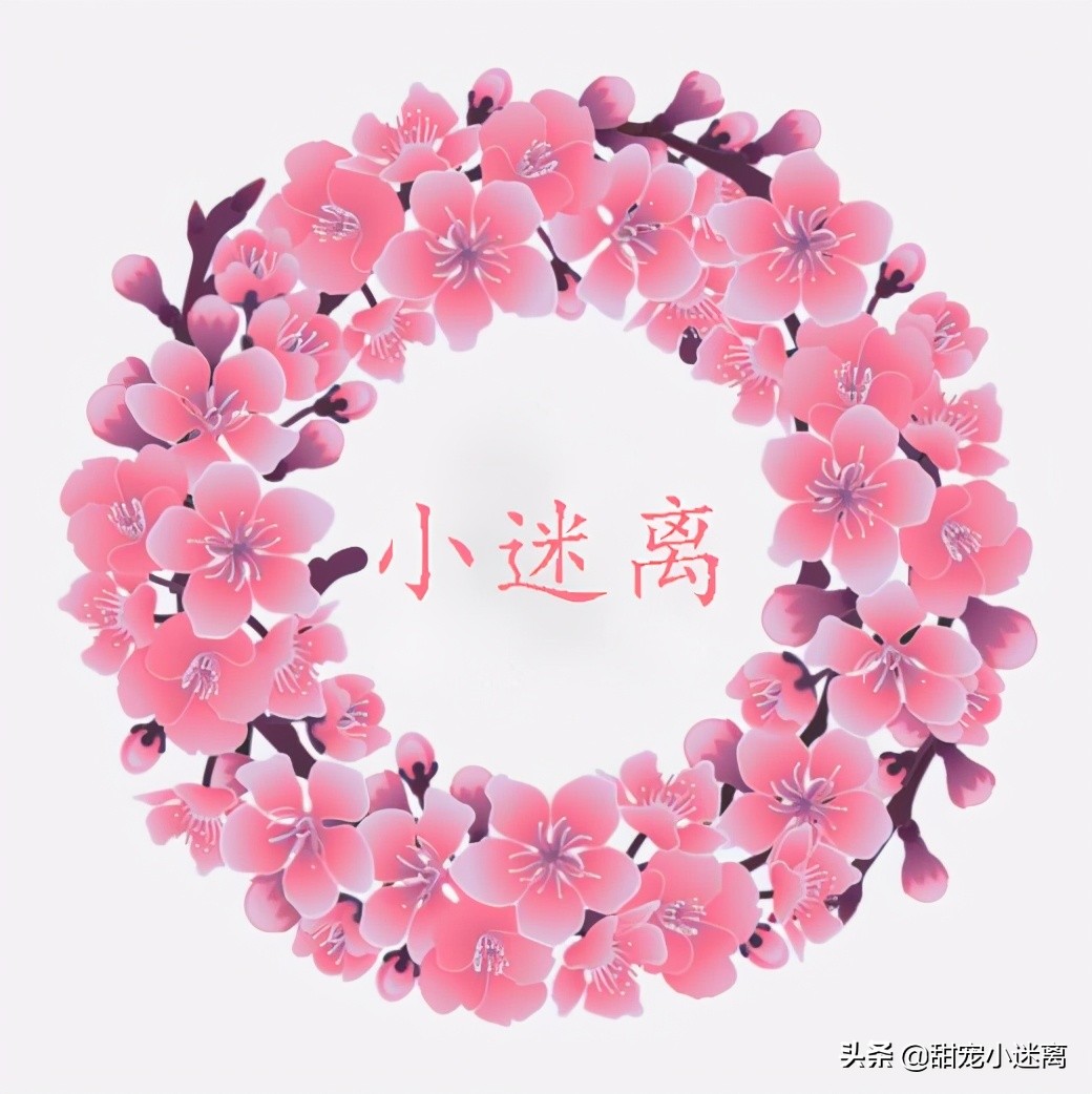 小迷离苏州,小迷离潮品