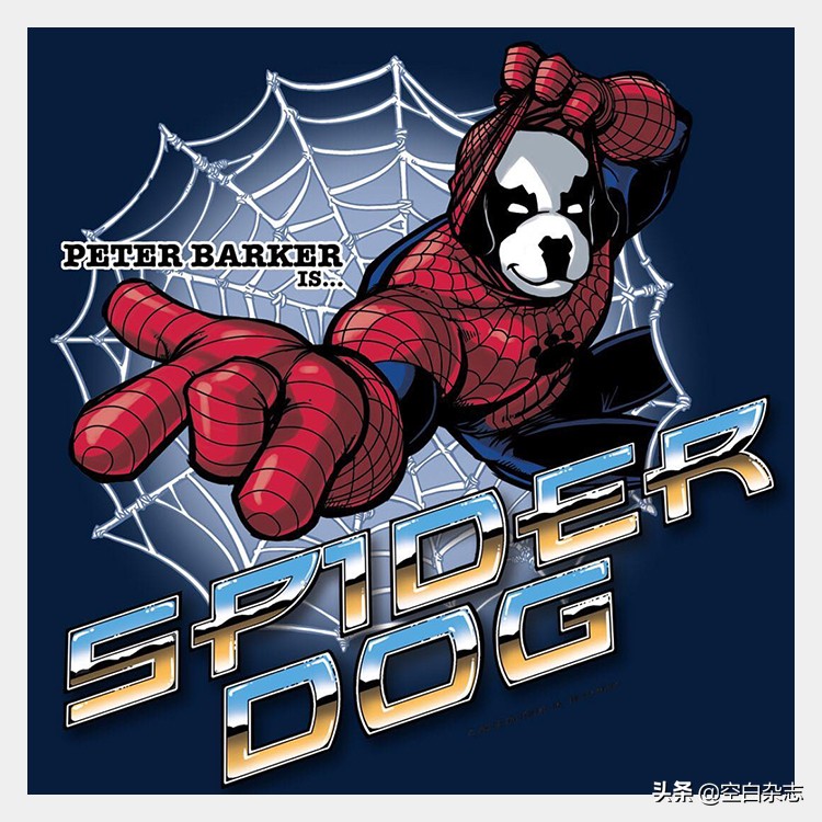 美国人的时尚偶像，竟然是一只狗