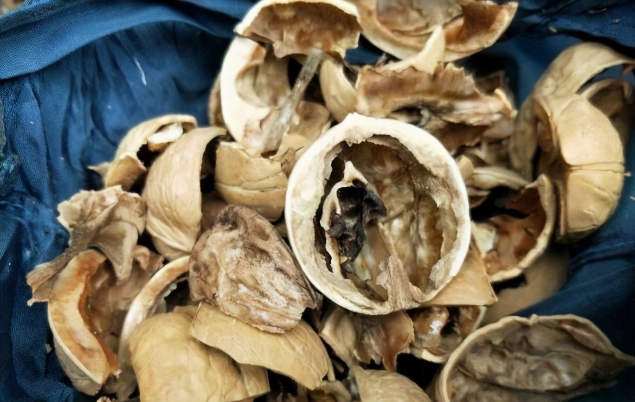 核桃便宜还用化肥吗,核桃皮炒熟捣碎后发酵做花肥好吗