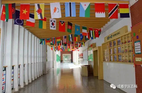 成都高新大源学校初中排名,高新区大源片区学校排名