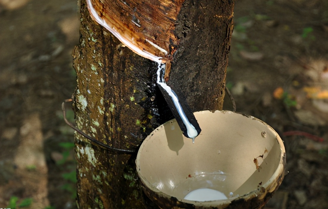 乳胶和海绵的鉴别方法,乳胶和海绵床垫的鉴别方法