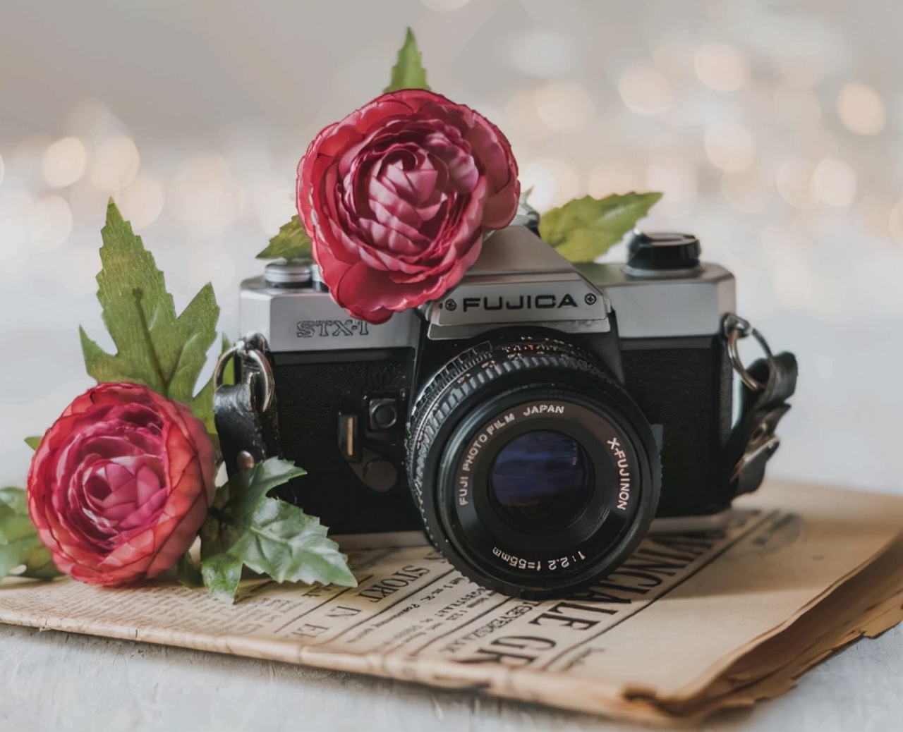 水瓶座和狮子座的爱情能长久吗,月亮星座水瓶座与月亮星座狮子座