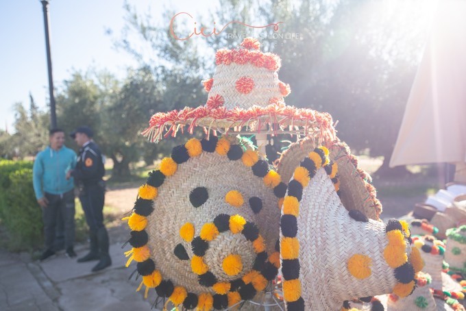 边逛边看感受摩洛哥马拉喀什风情,摩洛哥之旅之马拉喀什