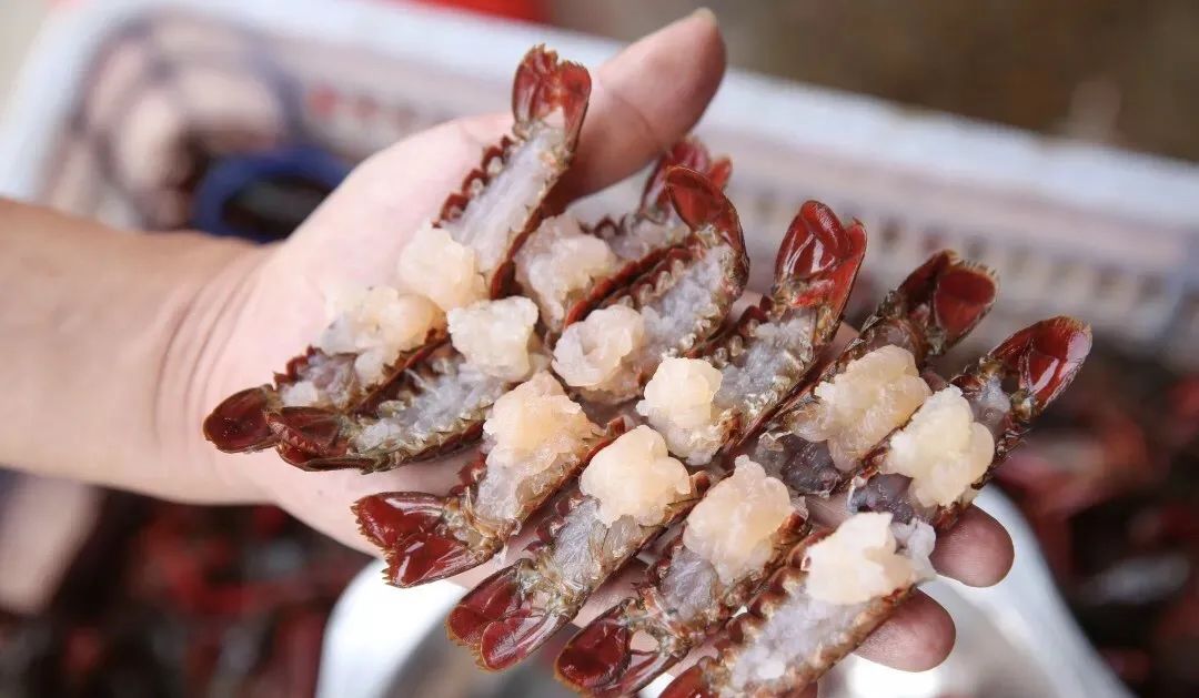 虾球可以怎么吃,虾球到底能不能吃