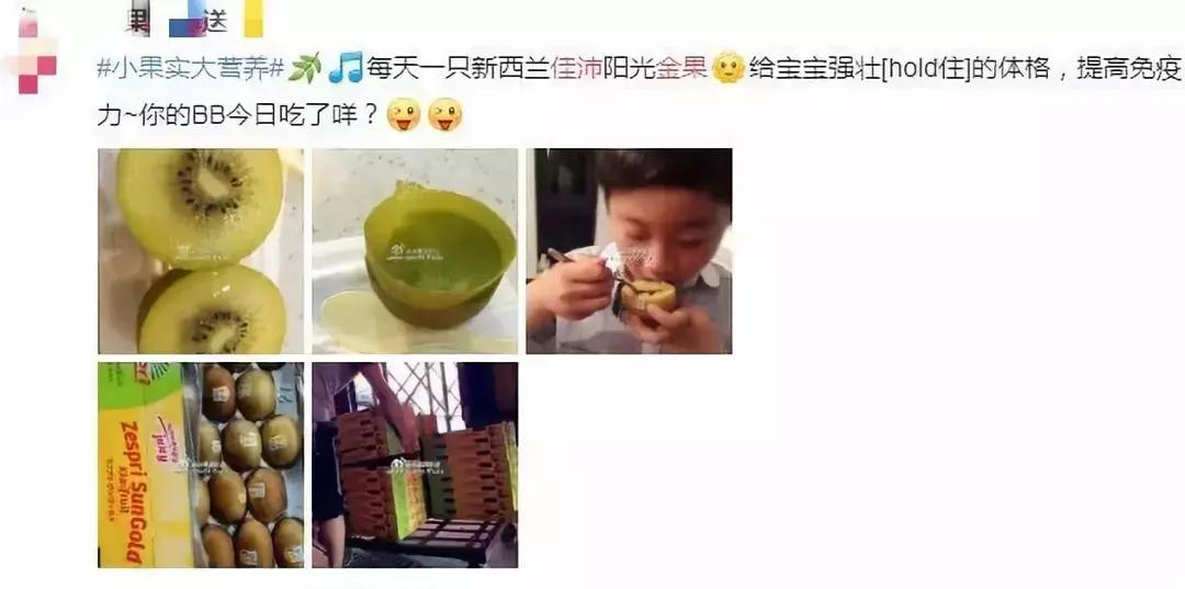 新西兰佳沛金果销售时间,2023年新西兰佳沛金果