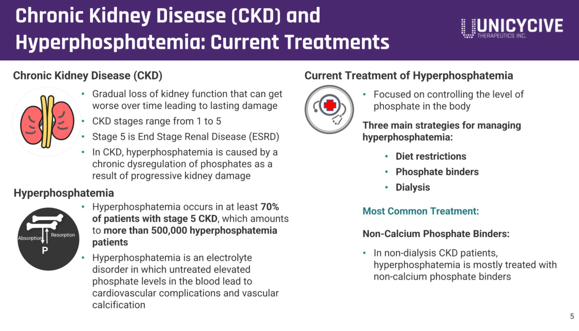 Unicycive冲刺纳斯达克:拟募资2766万美元路演PPT曝光
