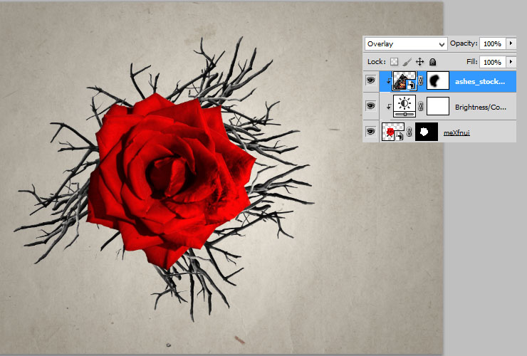ps如何换花朵教程图解,ps怎么画枯萎的玫瑰
