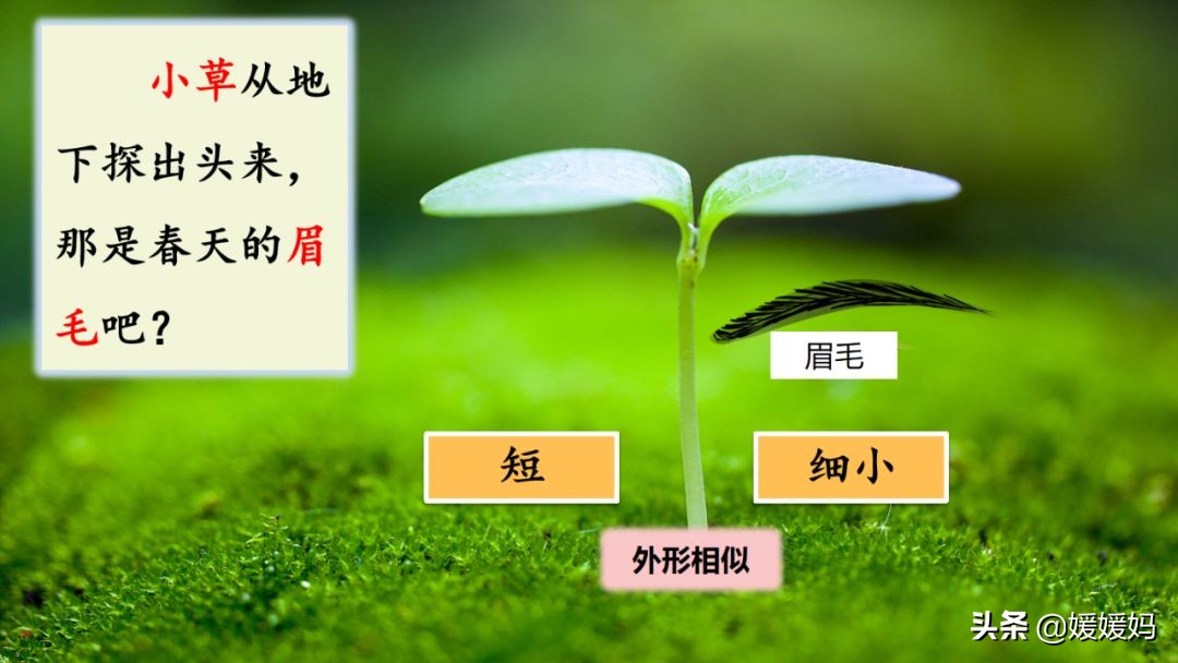 找春天二年级下册仿写第8自然段,找春天二年级下册朗读123自然段