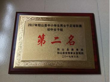 校园足球工作的成效,校园足球工作主要做法