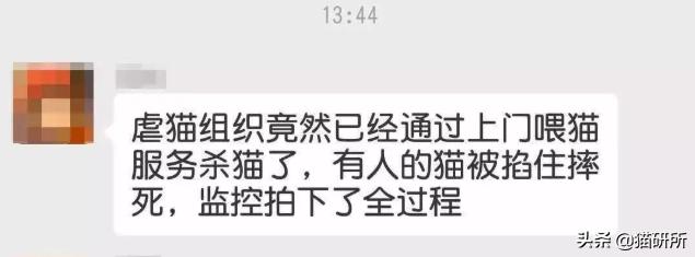 万里挑一加盟,万里挑一高手在哪里