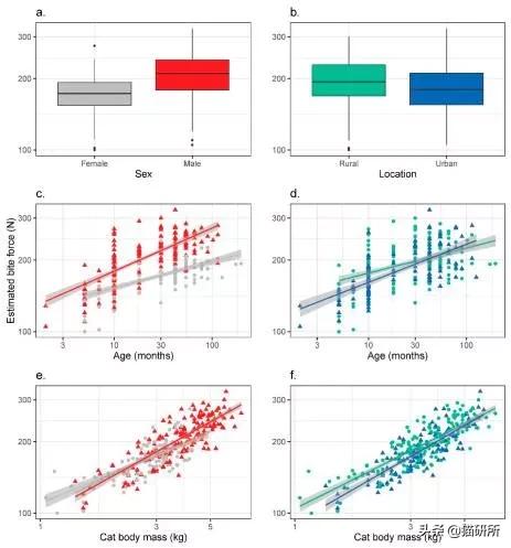 流浪猫的孩子野性也大吗,流浪猫的灵性有多可怕