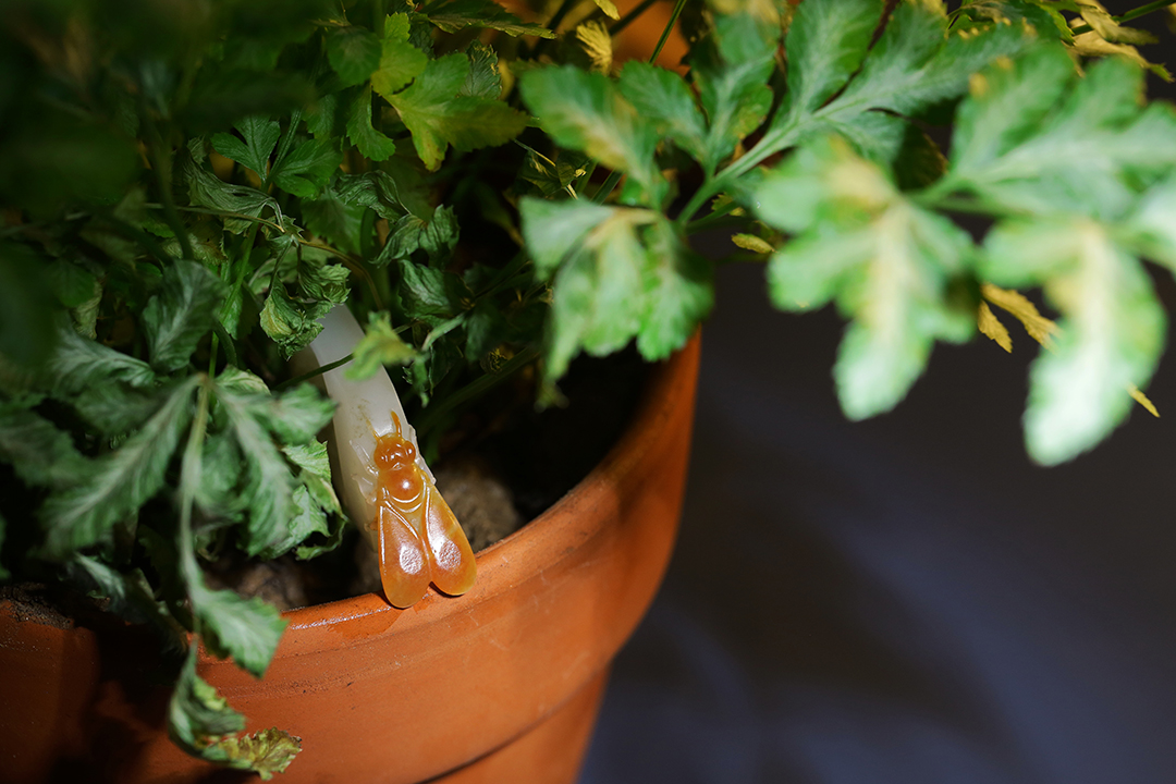 孤品和田玉雕,和田玉雕刻小蜜蜂