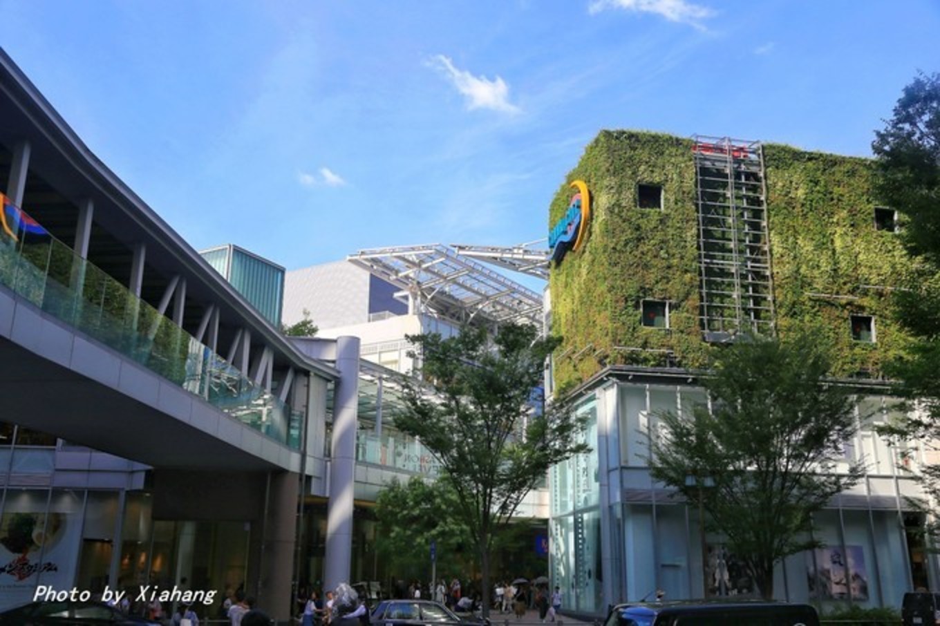 皇家加勒比选哪条航线,皇家加勒比海洋航线