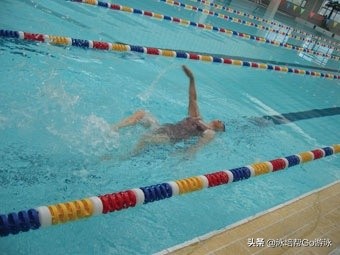 游泳教学零基础青蛙泳,蝶仰蛙正确游泳方法