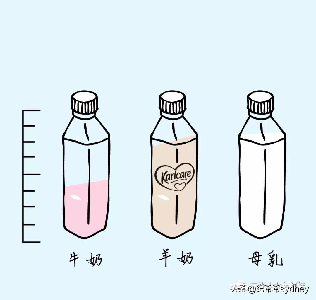 私校、学区房、补习班：所有华人妈妈都逃不开的三件套