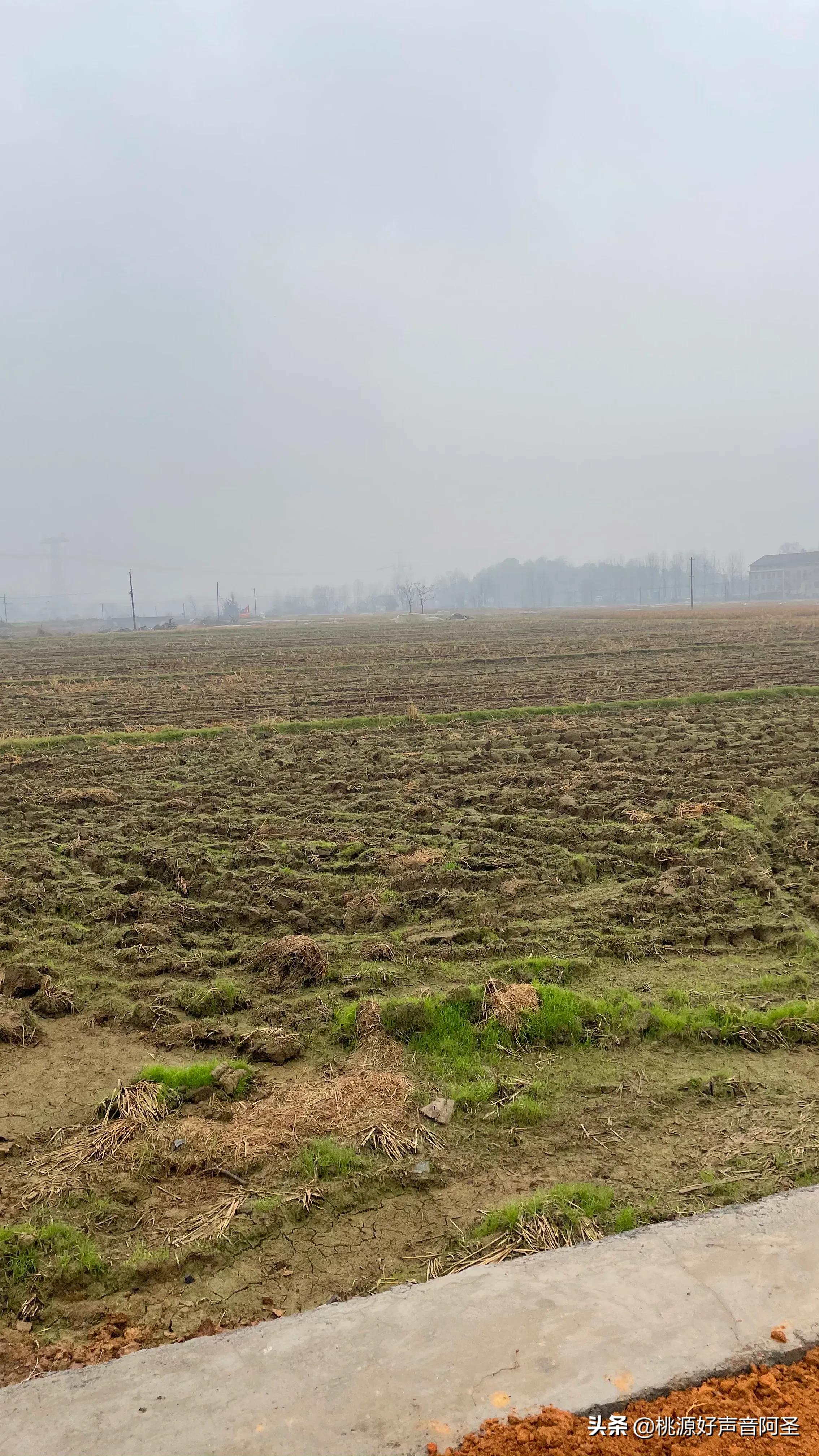 陬市风景好的地方,陬市福德山庄