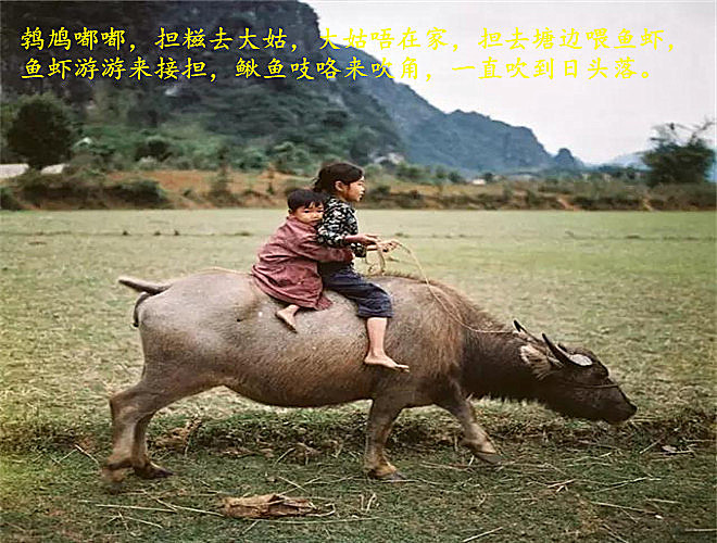 恩平童谣,恩平90后童谣