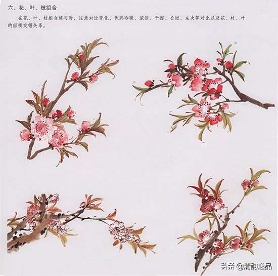 怎样画国画桃花的绘画技法,国画写意桃花技法视频