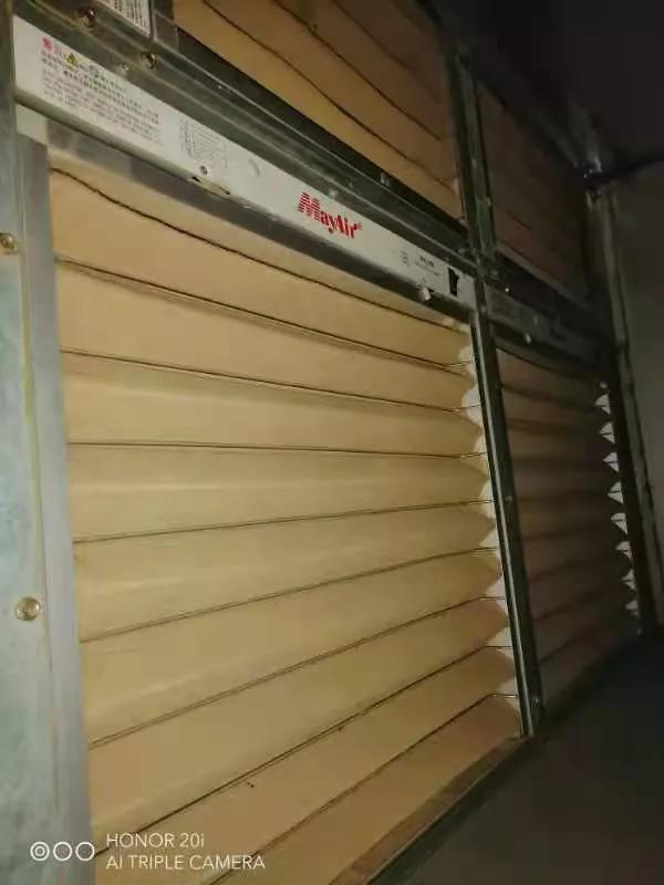 无惧狂沙卷土重来，金茂绿建为家筑起“绿色长城”