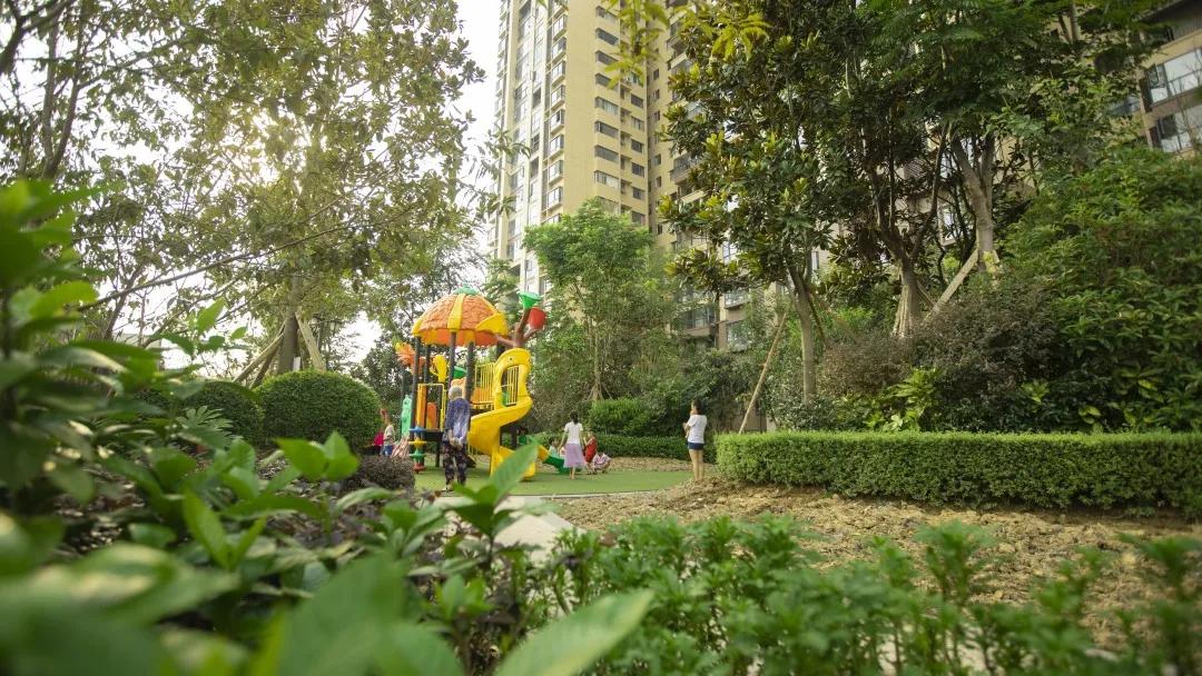 最美的人间四月天演唱视频,最美的人间四月天如约而至