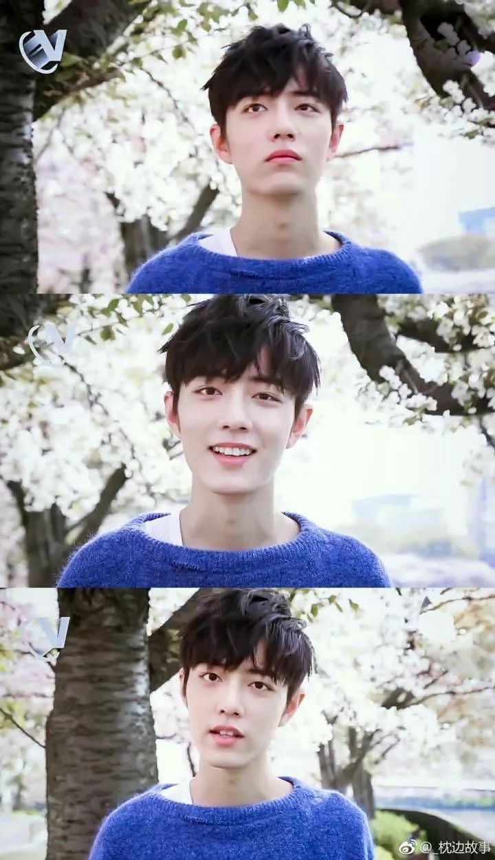 肖战绝世侧颜,肖战绝美回眸