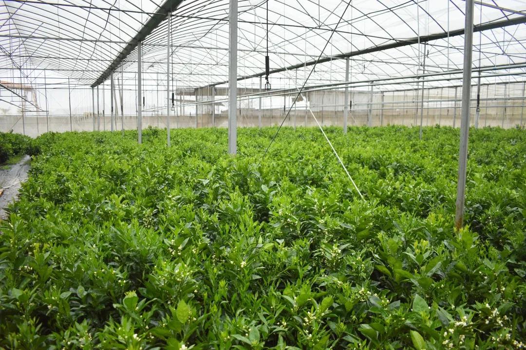 奋战一季度实现开门红,铆足干劲开新局全力奋战开门红