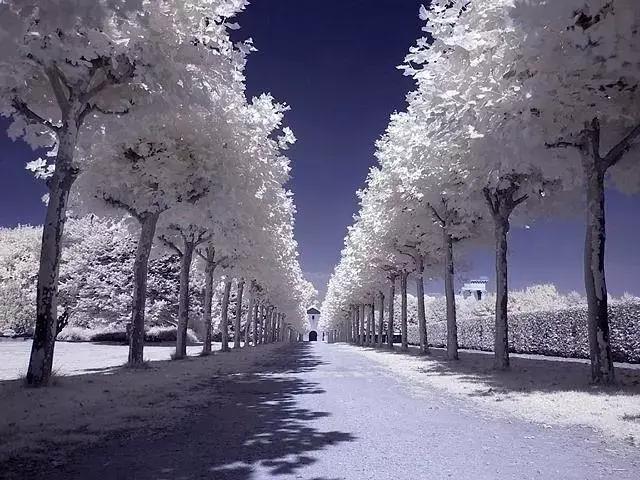 对联应掌握的90个知识点,对联知识点整理