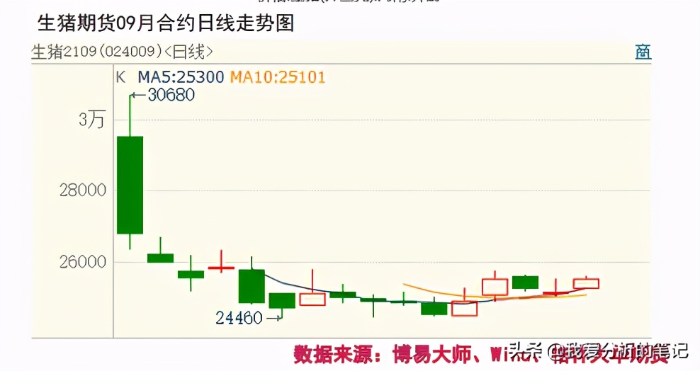 天邦股份对明年猪价的预判,天邦股份还会跌吗